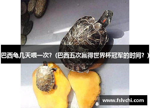 巴西龟几天喂一次？(巴西五次赢得世界杯冠军的时间？)