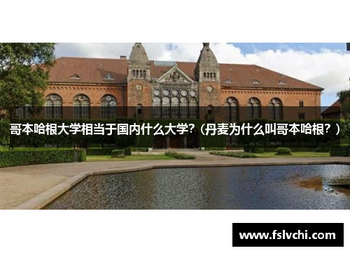 哥本哈根大学相当于国内什么大学？(丹麦为什么叫哥本哈根？)