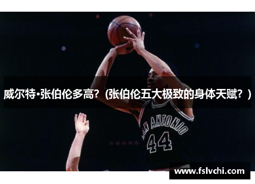 威尔特·张伯伦多高？(张伯伦五大极致的身体天赋？)