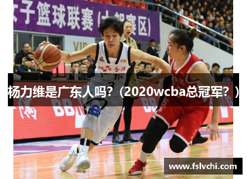 杨力维是广东人吗？(2020wcba总冠军？)